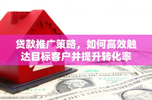 南城贷款推广策略，如何高效触达目标客户并提升转化率