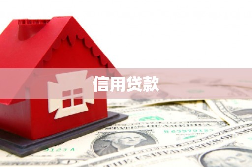 南城信用贷款