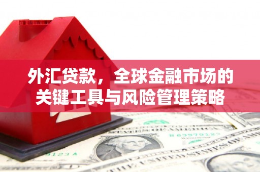 南城外汇贷款，全球金融市场的关键工具与风险管理策略