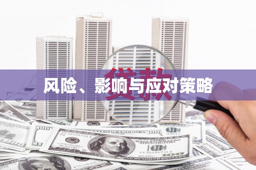 南城风险、影响与应对策略