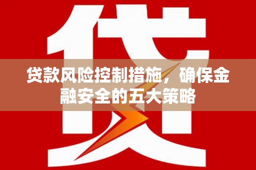 南城贷款风险控制措施，确保金融安全的五大策略
