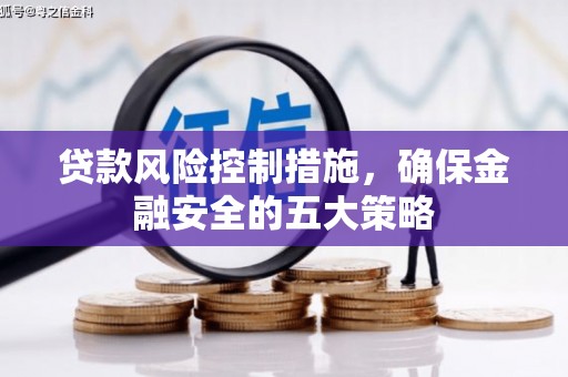 南城贷款风险控制措施，确保金融安全的五大策略