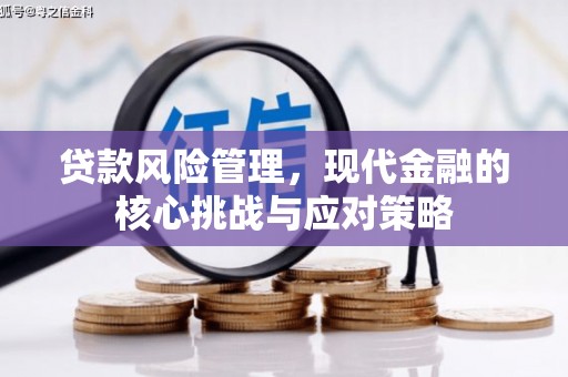 南城贷款风险管理，现代金融的核心挑战与应对策略