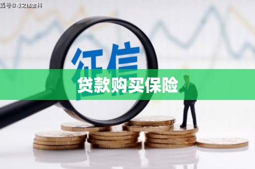 南城贷款购买保险