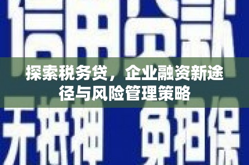 南城探索税务贷，企业融资新途径与风险管理策略