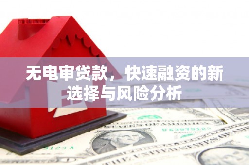 南城无电审贷款，快速融资的新选择与风险分析