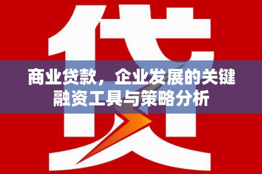 南城商业贷款，企业发展的关键融资工具与策略分析