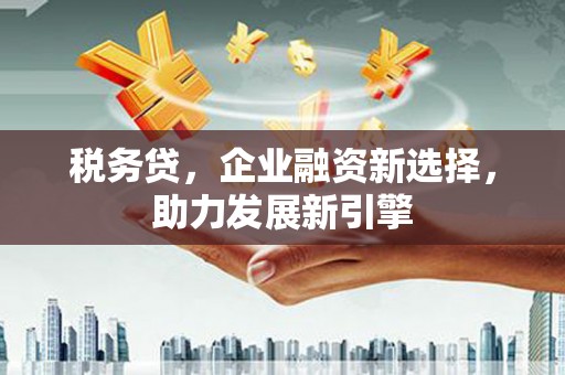 南城税务贷，企业融资新选择，助力发展新引擎
