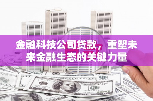 南城金融科技公司贷款，重塑未来金融生态的关键力量
