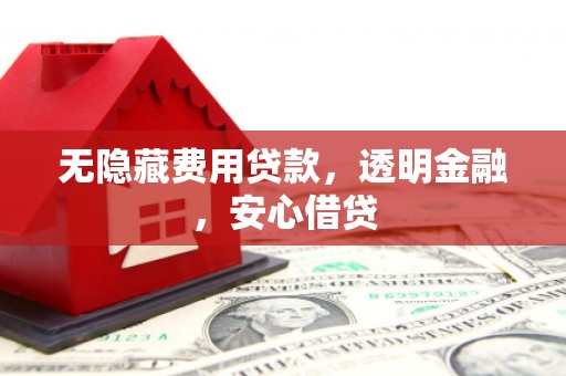 南城无隐藏费用贷款，透明金融，安心借贷