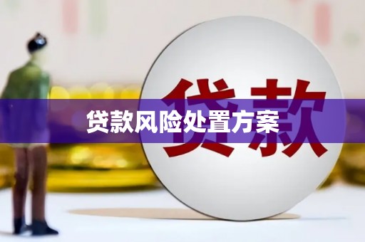 南城贷款风险处置方案