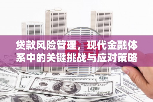 南城贷款风险管理，现代金融体系中的关键挑战与应对策略