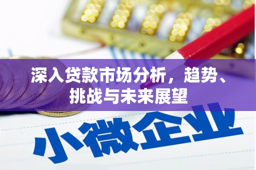 南城深入贷款市场分析，趋势、挑战与未来展望