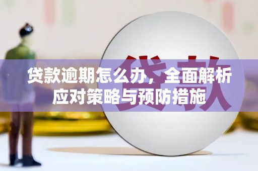 南城贷款逾期怎么办，全面解析应对策略与预防措施
