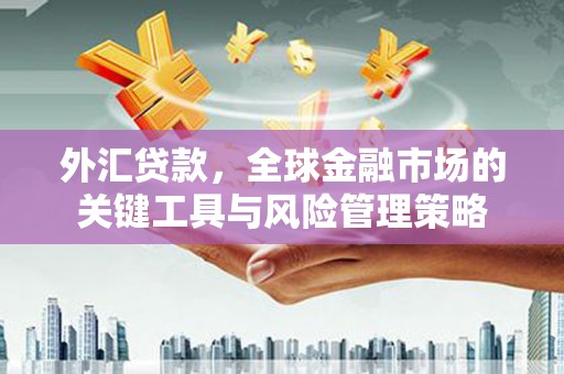 南城外汇贷款，全球金融市场的关键工具与风险管理策略