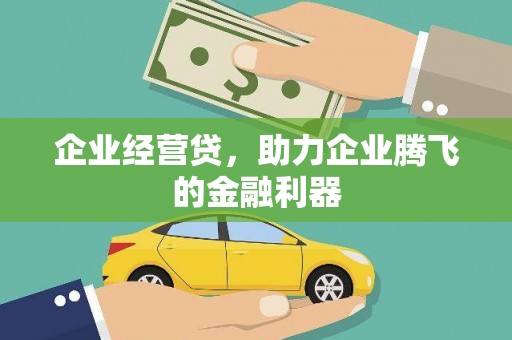 南城企业经营贷，助力企业腾飞的金融利器