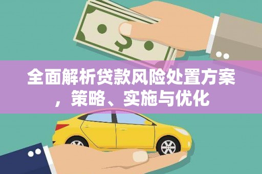 南城全面解析贷款风险处置方案，策略、实施与优化