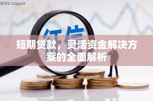 南城短期贷款，灵活资金解决方案的全面解析