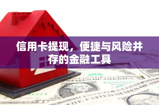 南城信用卡提现，便捷与风险并存的金融工具