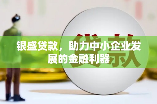 南城银盛贷款，助力中小企业发展的金融利器