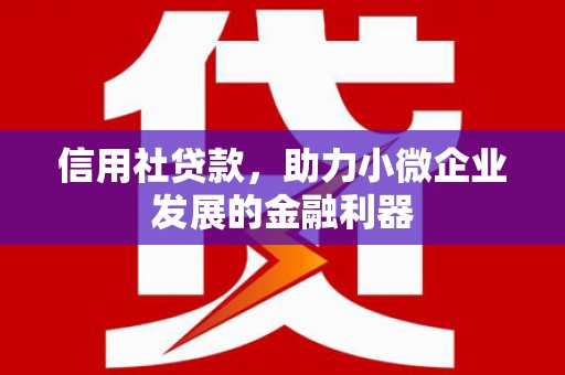 南城信用社贷款，助力小微企业发展的金融利器