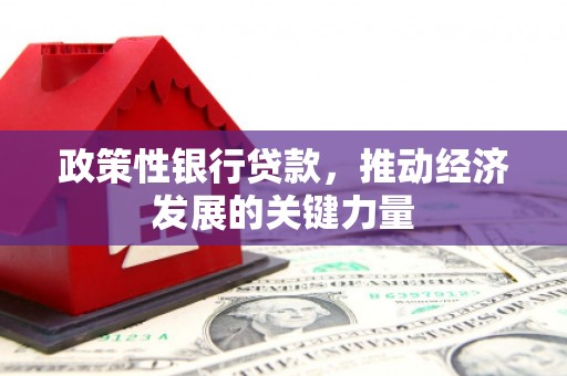 南城政策性银行贷款，推动经济发展的关键力量