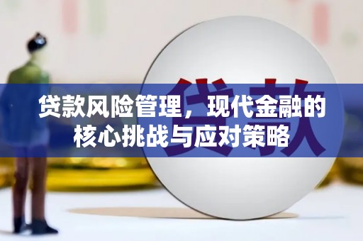 南城贷款风险管理，现代金融的核心挑战与应对策略
