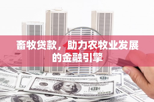 南城畜牧贷款，助力农牧业发展的金融引擎