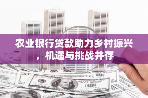 南城农业银行贷款助力乡村振兴，机遇与挑战并存