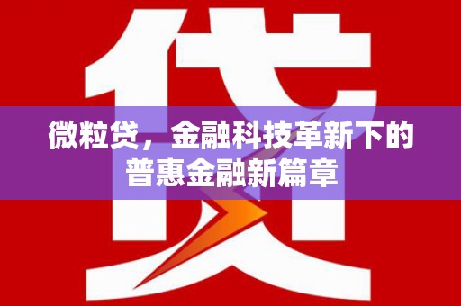 南城微粒贷，金融科技革新下的普惠金融新篇章