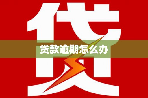 南城贷款逾期怎么办