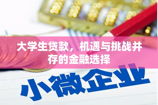 南城大学生贷款，机遇与挑战并存的金融选择