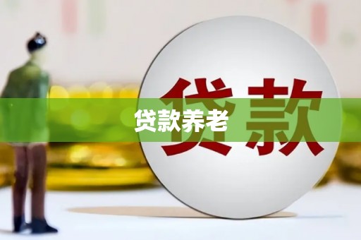 南城贷款养老