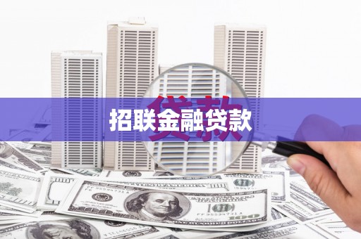 南城招联金融贷款