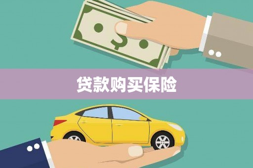 南城贷款购买保险