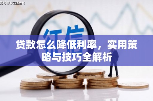 南城贷款怎么降低利率，实用策略与技巧全解析