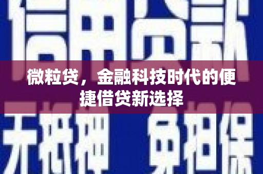 南城微粒贷，金融科技时代的便捷借贷新选择