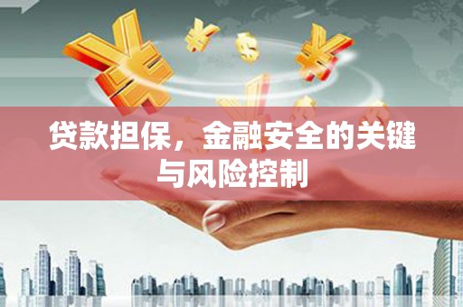 南城贷款担保，金融安全的关键与风险控制