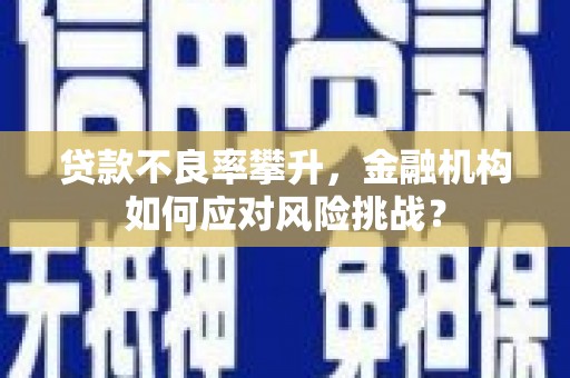 南城贷款不良率攀升，金融机构如何应对风险挑战？