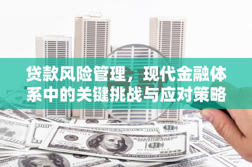南城贷款风险管理，现代金融体系中的关键挑战与应对策略
