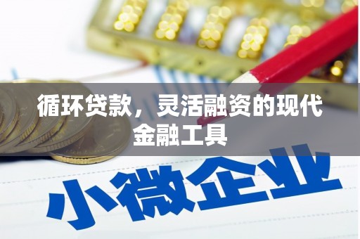 南城循环贷款，灵活融资的现代金融工具
