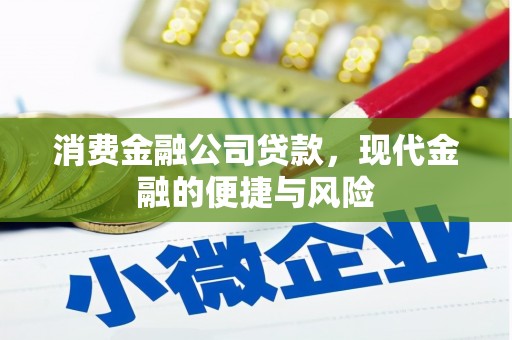 南城消费金融公司贷款，现代金融的便捷与风险