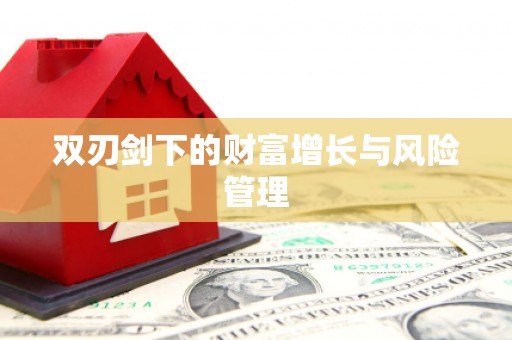 南城双刃剑下的财富增长与风险管理