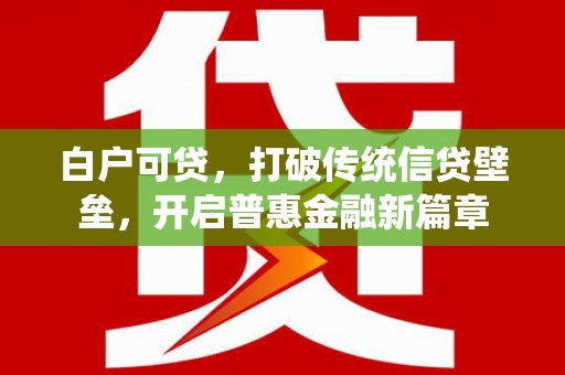 南城白户可贷，打破传统信贷壁垒，开启普惠金融新篇章