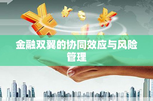 南城金融双翼的协同效应与风险管理