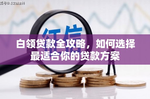 南城白领贷款全攻略，如何选择最适合你的贷款方案